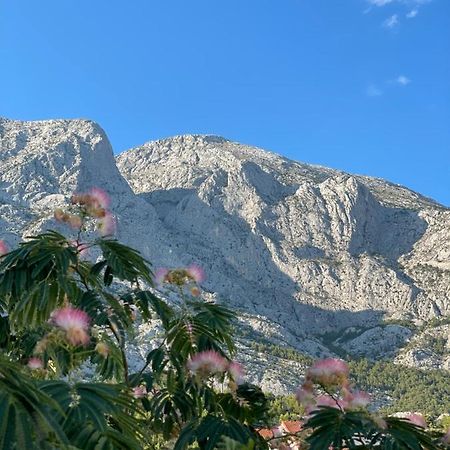 Heaven'S View Apartments Baška Voda Exterior foto
